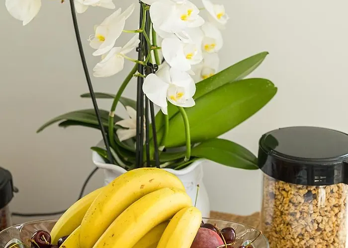 Fuered Centrum Panzio Nocleg ze śniadaniem